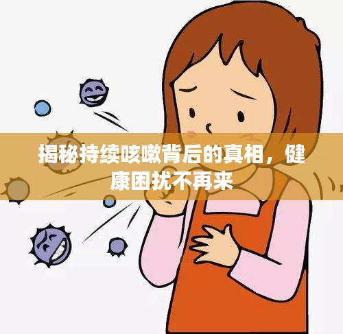 商品分类 第82页