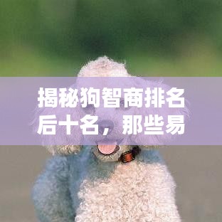 产品 第86页