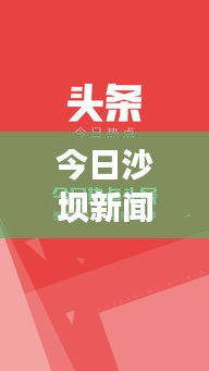 案例 第76页
