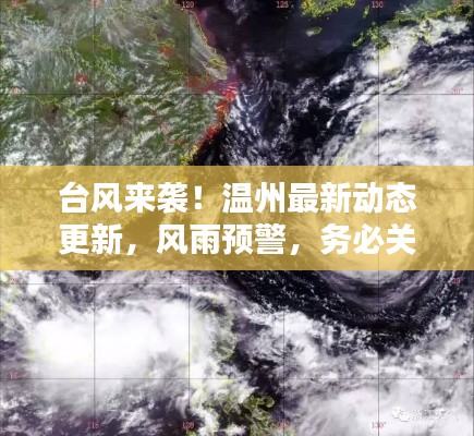 评价 第75页