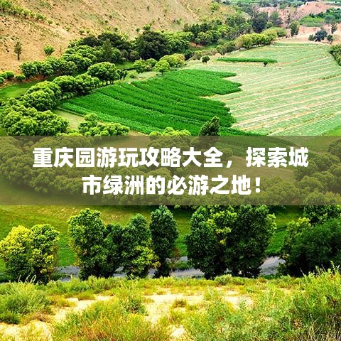 重庆园游玩攻略大全，探索城市绿洲的必游之地！