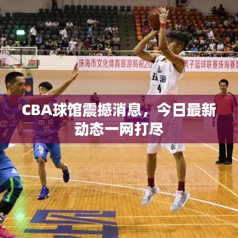 CBA球馆震撼消息，今日最新动态一网打尽
