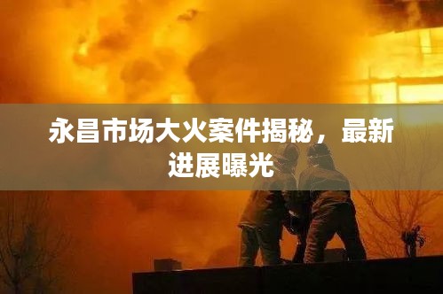 bainiaozhengming 第4页