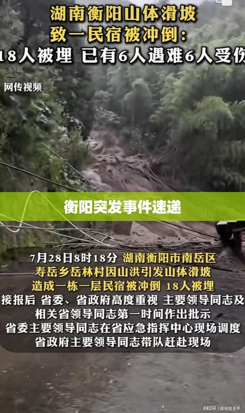 buweiquangui 第5页