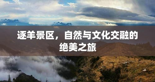 产品 第67页