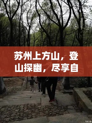 guierjianmu 第3页