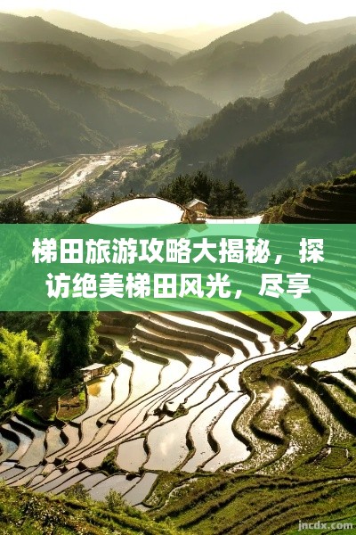 zhuodiaoweipu 第4页