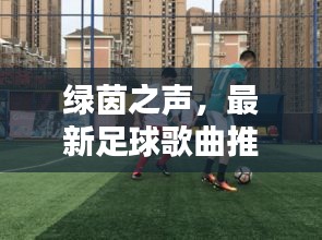 shengruhongzhong 第4页