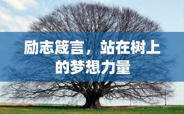 sanrenchenghu 第3页