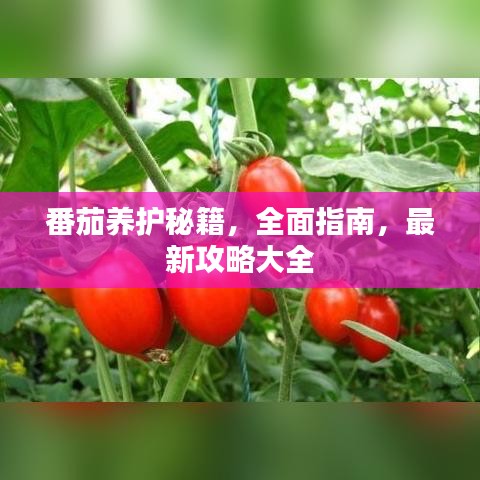 yiqifengfa 第3页