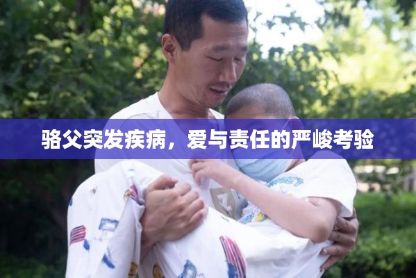 poniaocuiji 第2页