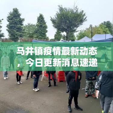 马井镇疫情最新动态，今日更新消息速递