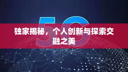 独家揭秘，个人创新与探索交融之美