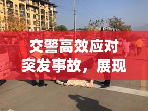 交警高效应对突发事故，展现卓越公共服务精神