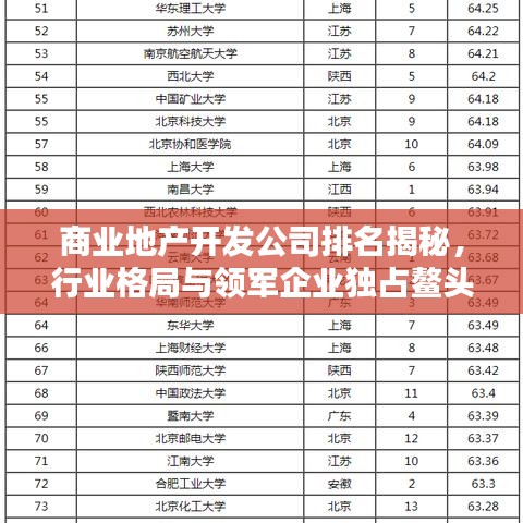 bupiwaqi 第2页