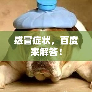 感冒症状，百度来解答！