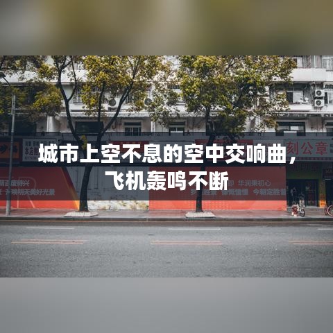 niaogehuifei 第2页