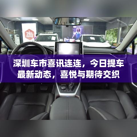 深圳车市喜讯连连，今日提车最新动态，喜悦与期待交织