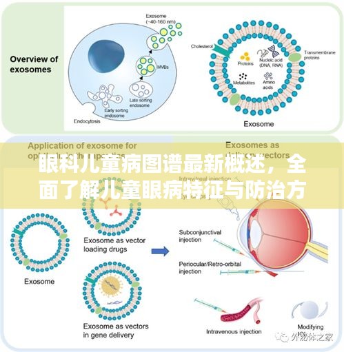 眼科儿童病图谱最新概述，全面了解儿童眼病特征与防治方法