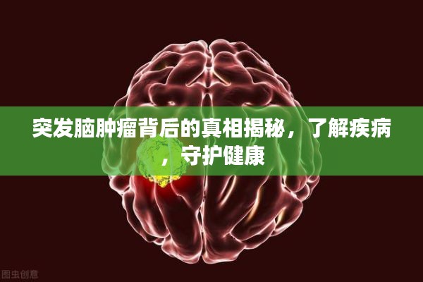 条款 第21页