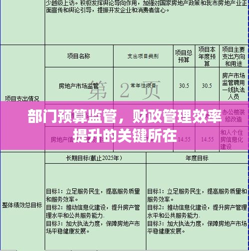 部门预算监管，财政管理效率提升的关键所在