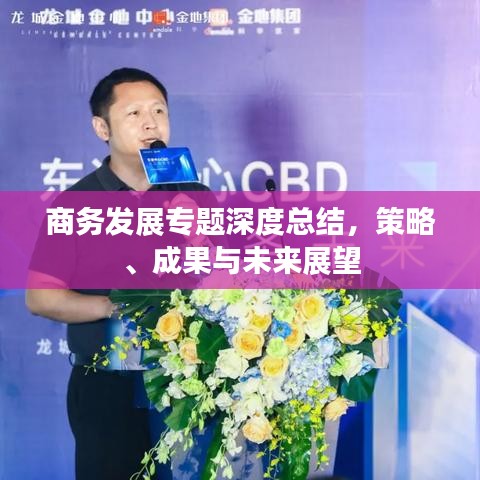 商务发展专题深度总结，策略、成果与未来展望