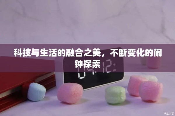 评价 第10页