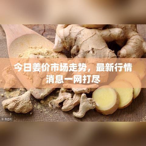 评价 第9页