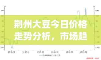 荆州大豆今日价格走势分析，市场趋势与未来展望