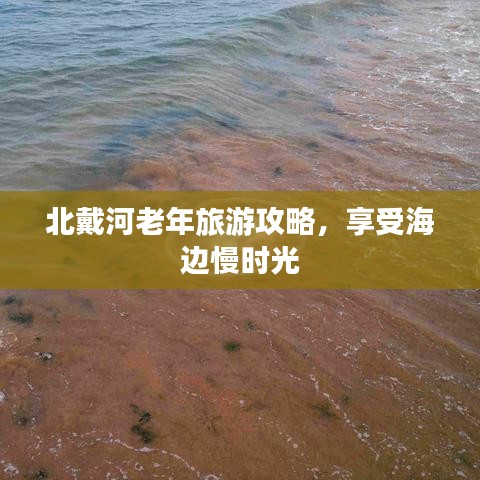 案例 第6页