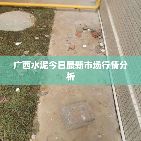 广西水泥今日最新市场行情分析