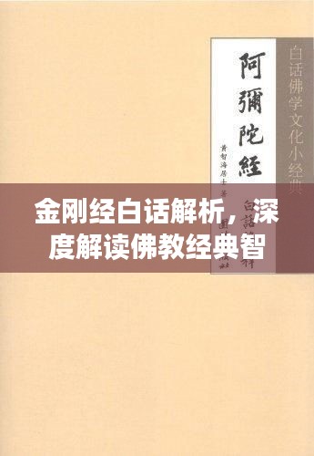 条款 第6页