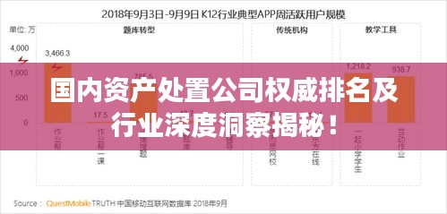 国内资产处置公司权威排名及行业深度洞察揭秘！