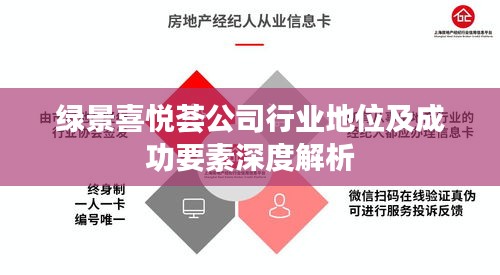 绿景喜悦荟公司行业地位及成功要素深度解析