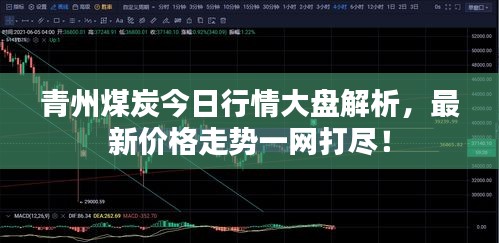 青州煤炭今日行情大盘解析，最新价格走势一网打尽！