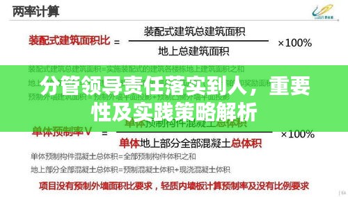 分管领导责任落实到人，重要性及实践策略解析