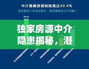 独家房源中介隐患揭秘，潜在风险与问题全解析