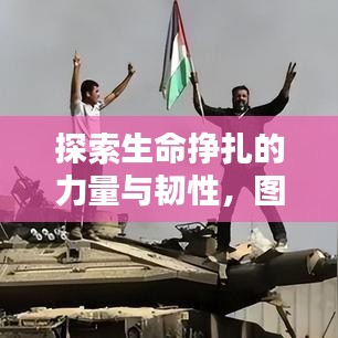探索生命挣扎的力量与韧性，图片揭示生命的力量图谱