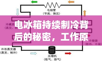 电冰箱持续制冷背后的秘密，工作原理与维护技巧全解析